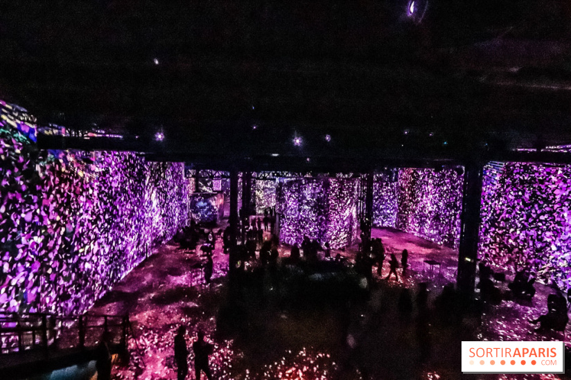 Japon rêvé, l'exposition immersive à l'Atelier des Lumières, les photos