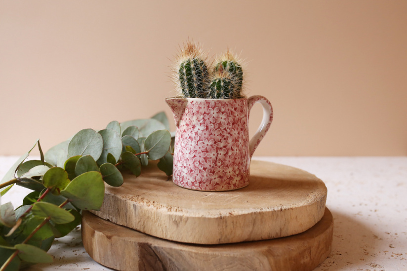 The Blond Cactus, quand le cactus passe en mode vintage