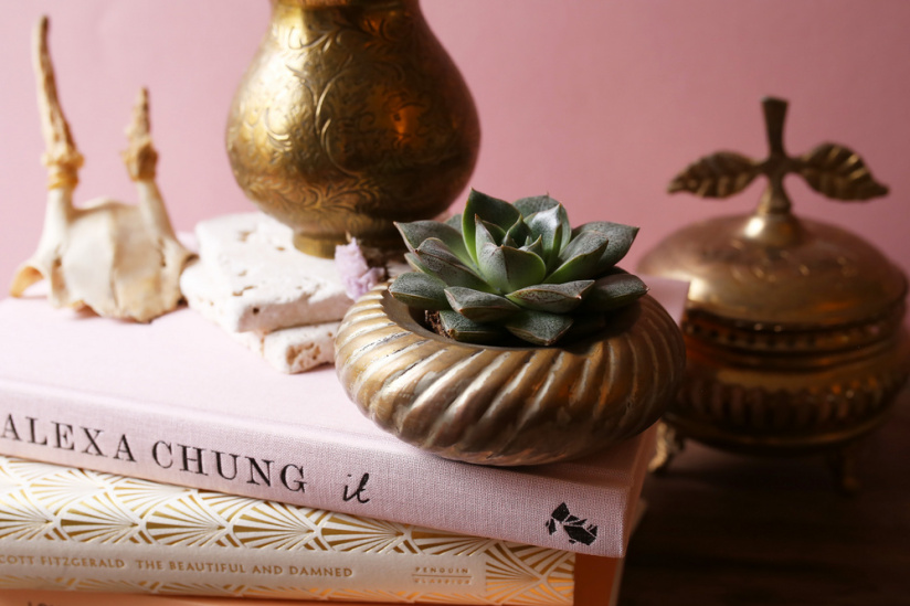 The Blond Cactus, quand le cactus passe en mode vintage