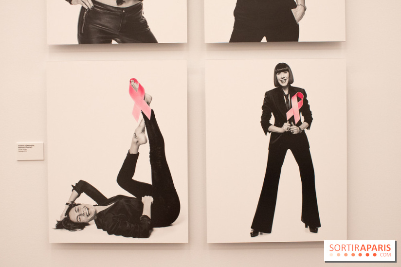 Stéphane de Bourgies, Quand le masque tombe