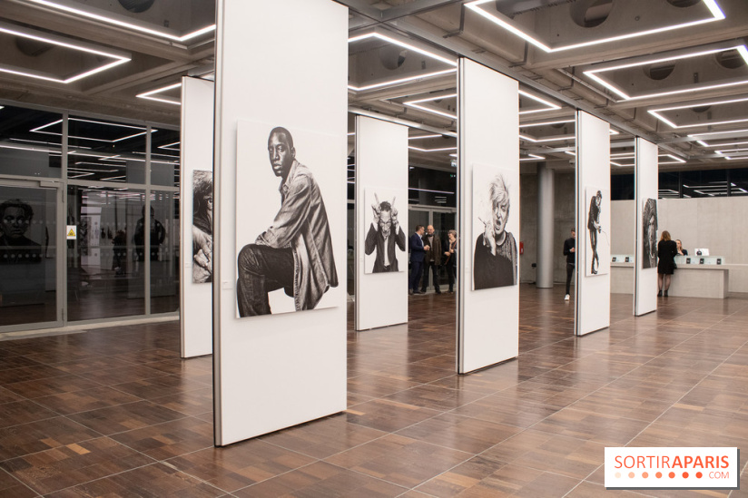 Stéphane de Bourgies, Quand le masque tombe