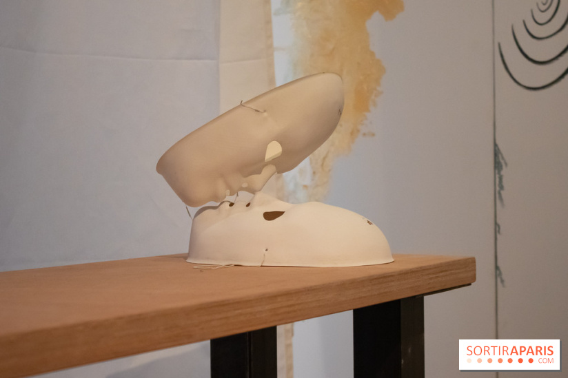 Exposition Coup de Foudre à la Fondation EDF