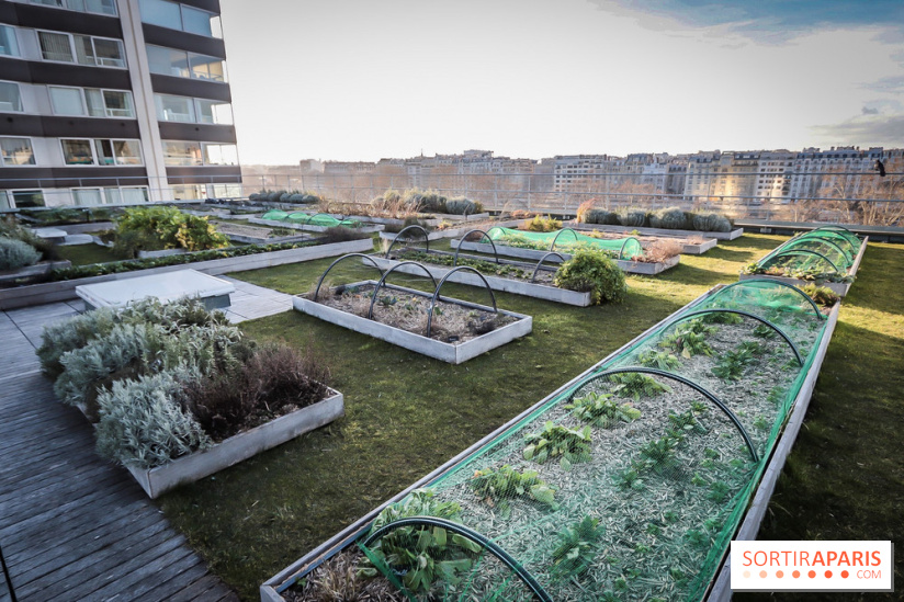 Le Cordon Bleu, cours de cuisine et nouveau café