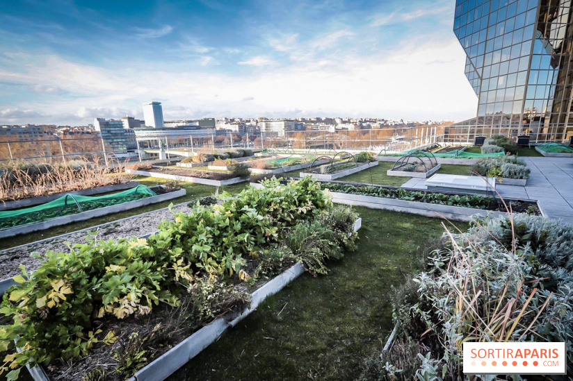 Le Cordon Bleu, cours de cuisine et nouveau café