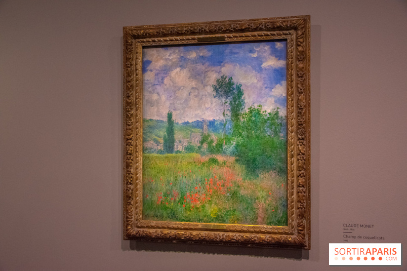 La Collection Bührle au Musée Maillol, les photos !