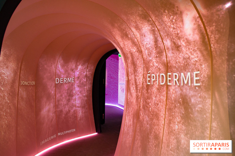 Dans ma peau au Musée de l'Homme : nos photos