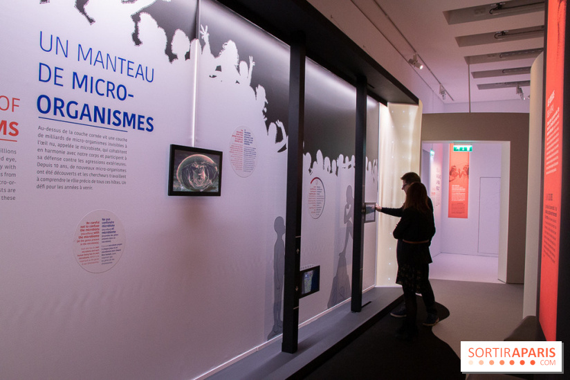 Dans ma peau au Musée de l'Homme : nos photos