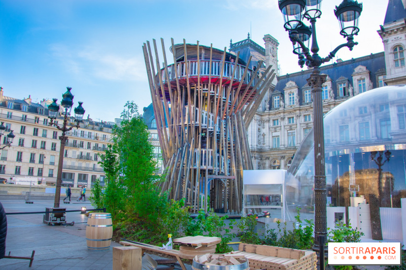 La forêt, une expérience à vivre sur le Parvis de l'Hôtel de Ville