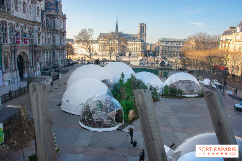 La forêt, une expérience à vivre sur le Parvis de l'Hôtel de Ville