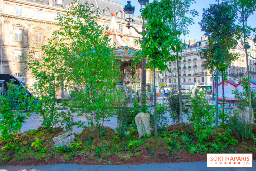La forêt, une expérience à vivre sur le Parvis de l'Hôtel de Ville