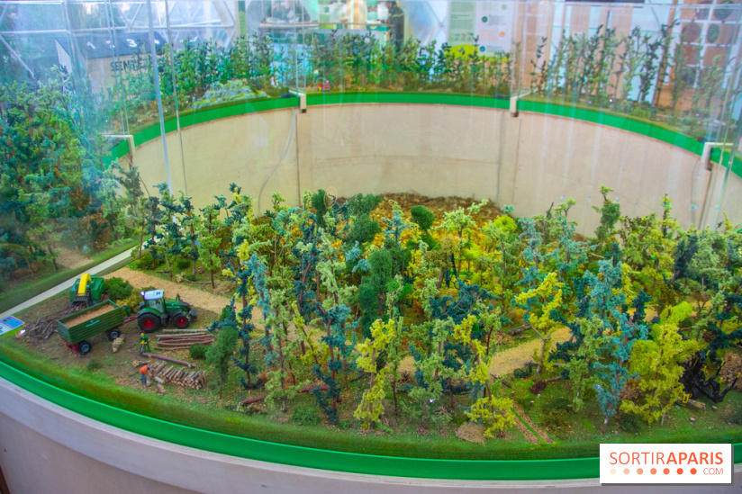 La forêt, une expérience à vivre sur le Parvis de l'Hôtel de Ville