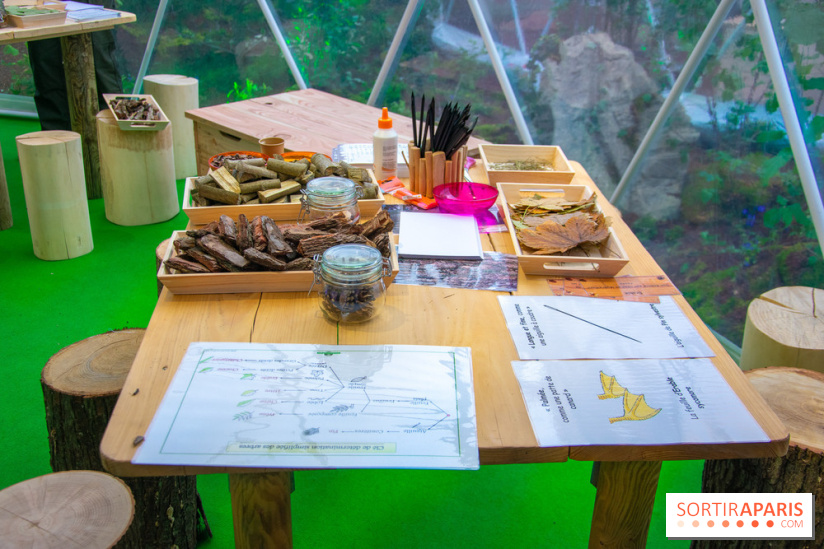 La forêt, une expérience à vivre sur le Parvis de l'Hôtel de Ville