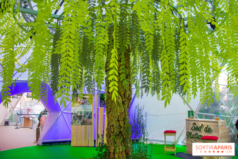 La forêt, une expérience à vivre sur le Parvis de l'Hôtel de Ville