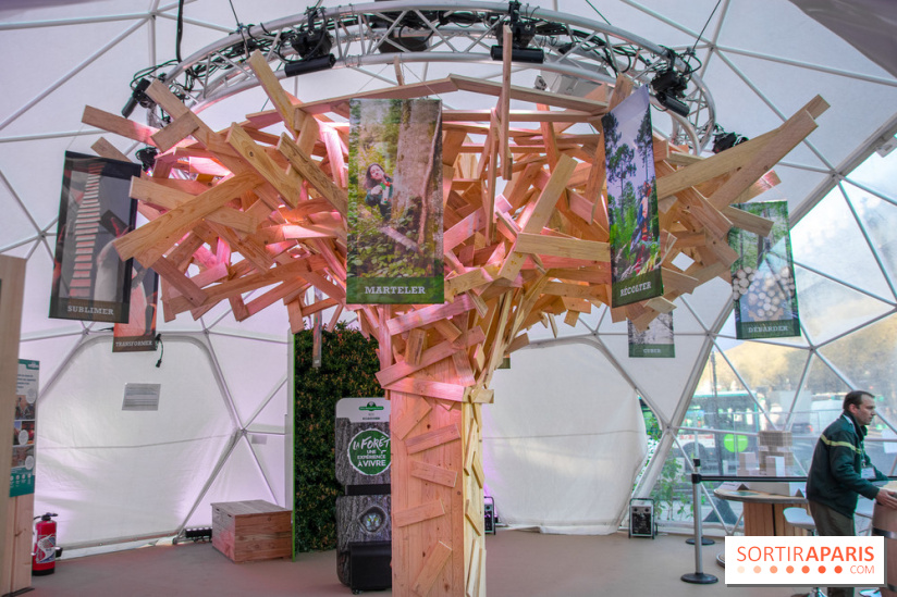 La forêt, une expérience à vivre sur le Parvis de l'Hôtel de Ville