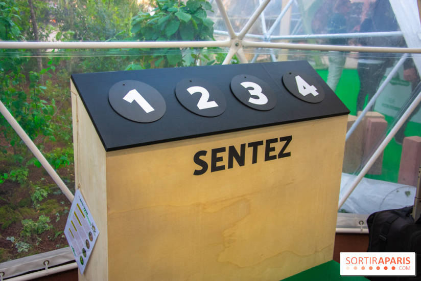 La forêt, une expérience à vivre sur le Parvis de l'Hôtel de Ville