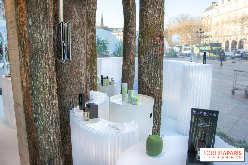 La forêt, une expérience à vivre sur le Parvis de l'Hôtel de Ville