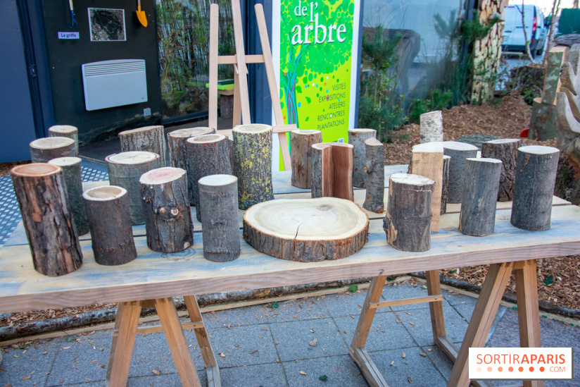 La forêt, une expérience à vivre sur le Parvis de l'Hôtel de Ville