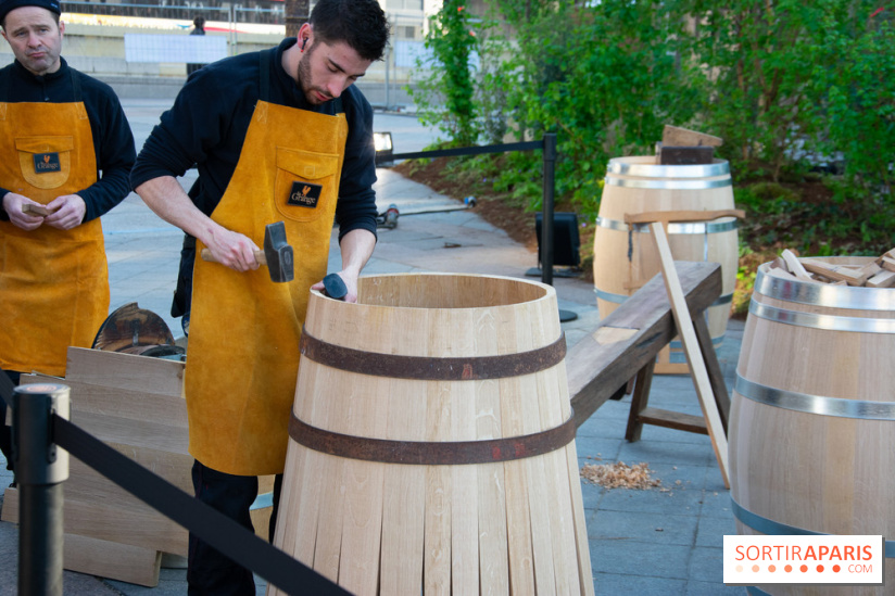 La forêt, une expérience à vivre sur le Parvis de l'Hôtel de Ville