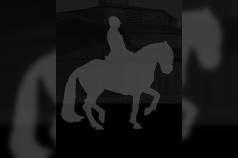 Lever de soleil, Bartabas, Cheval, Académie Equestre, Quartier d'été