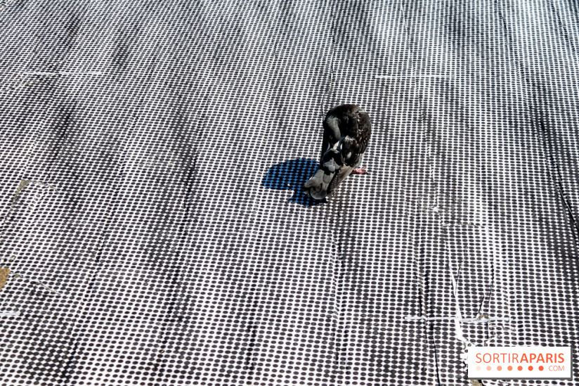 JR investit la place de la Pyramide du Louvre pour ses 30 ans