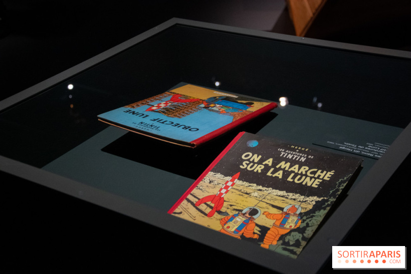 Exposition Lune au Grand Palais, nos photos 