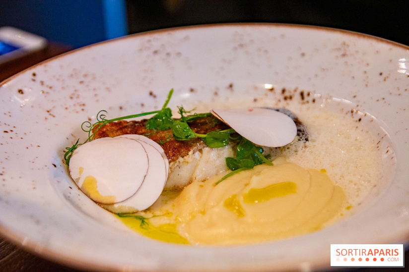 L'escient : nos photos