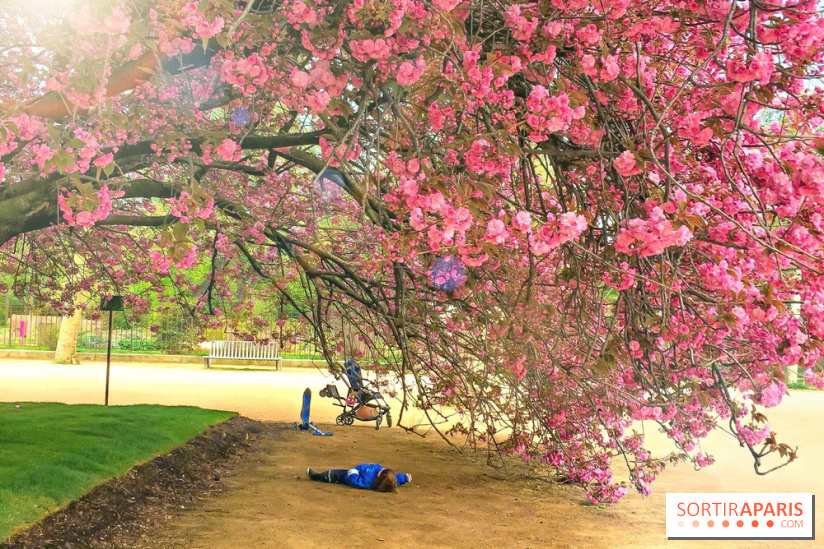 Le Jardin des Plantes
