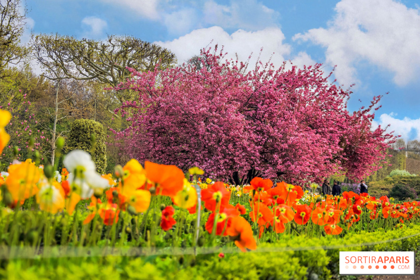 Le Jardin des Plantes