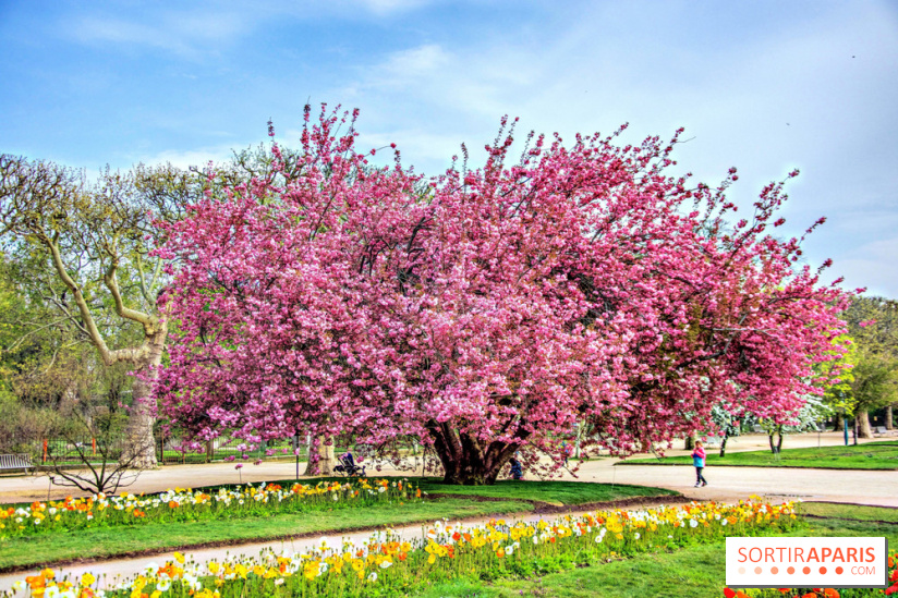 Le Jardin des Plantes