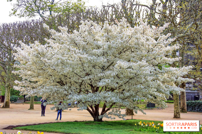 Le Jardin des Plantes