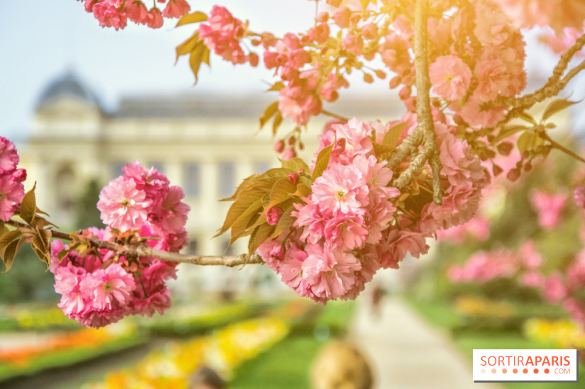 Le Jardin des Plantes