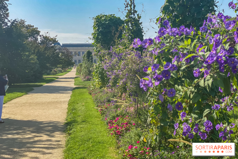 Le Jardin des Plantes