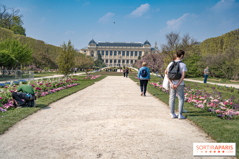 Le Jardin des Plantes