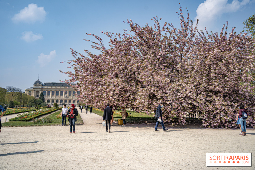 Le Jardin des Plantes
