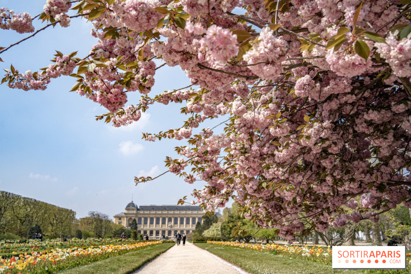 Le Jardin des Plantes