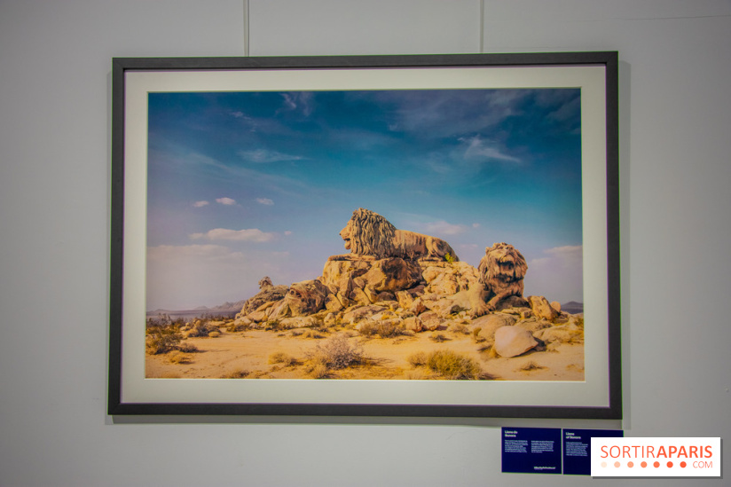 Exposition Unknown Places à la galerie Joseph - Froissart, nos photos