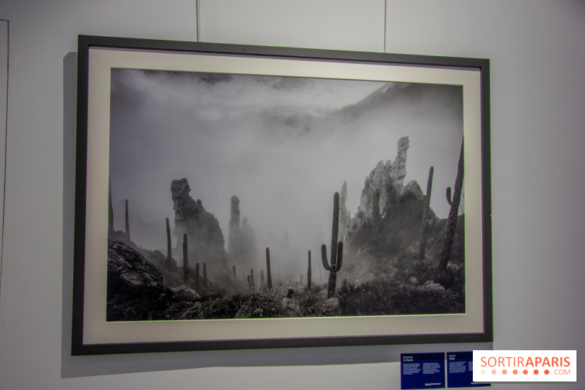 Exposition Unknown Places à la galerie Joseph - Froissart, nos photos