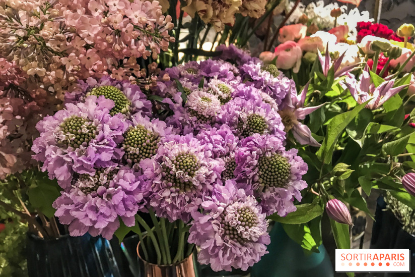 Boya Paris, fleuriste et artisanat