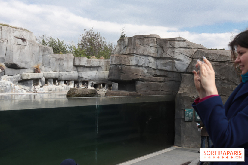 Parc Zoologique de Paris 2019
