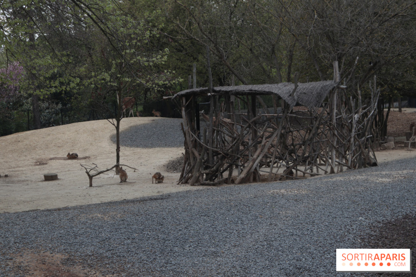 Parc Zoologique de Paris 2019