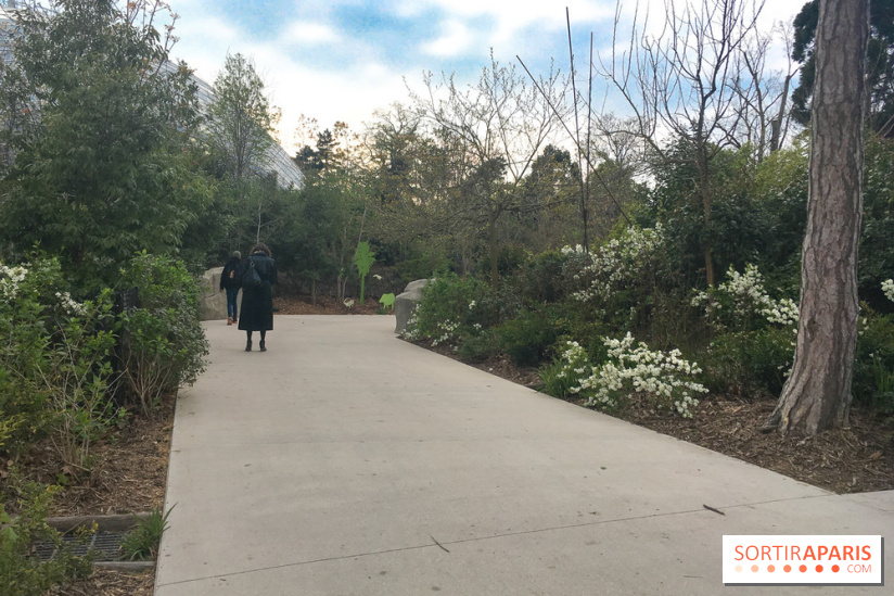 Parc Zoologique de Paris 2019