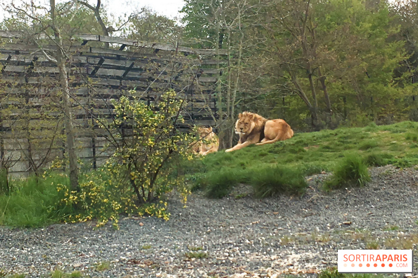 Parc Zoologique de Paris 2019