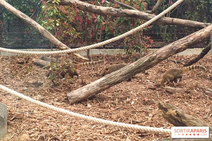 Parc Zoologique de Paris 2019