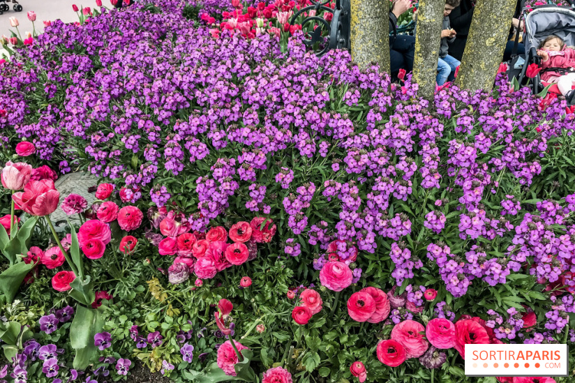 Earth Month à Disneyland Paris
