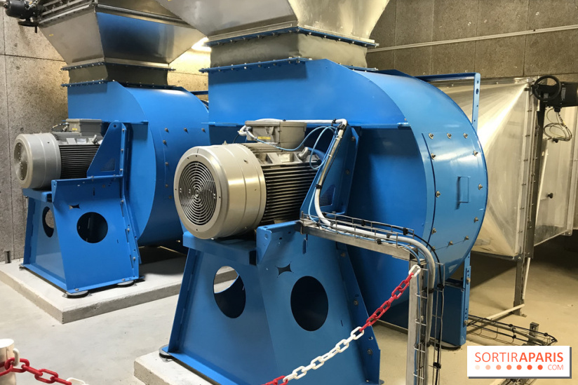 Earth Month à Disneyland Paris