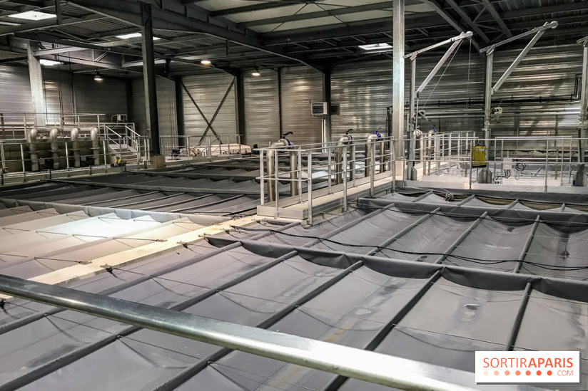 Earth Month à Disneyland Paris