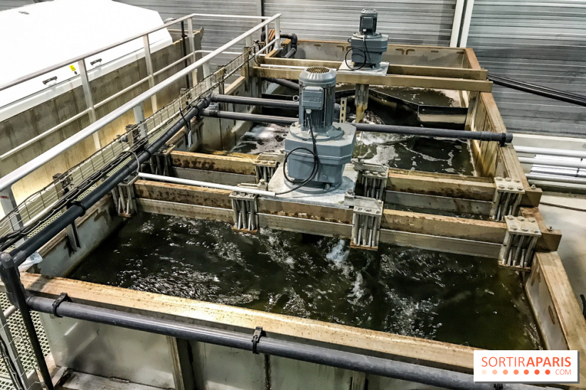 Earth Month à Disneyland Paris