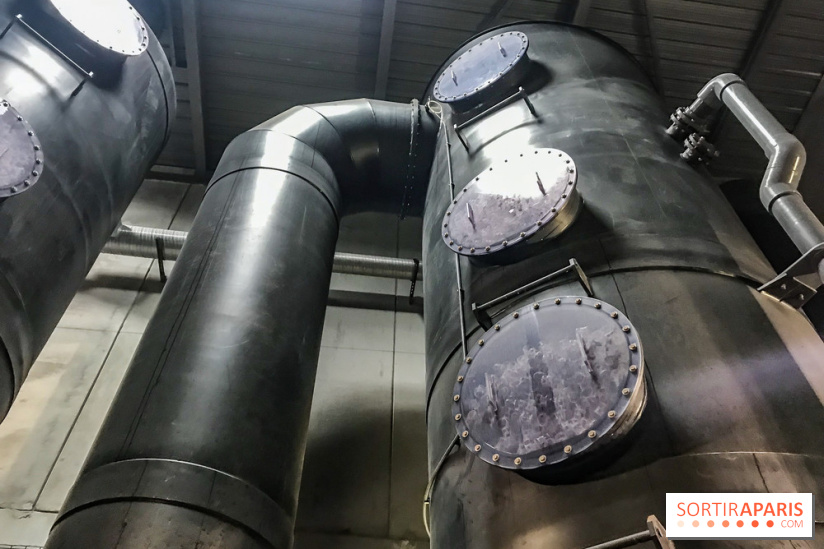 Earth Month à Disneyland Paris