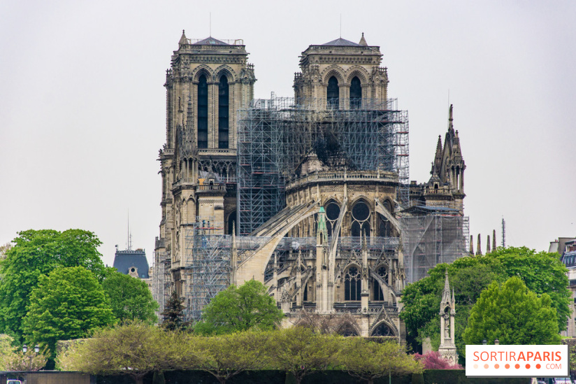 Notre Dame de Paris, les photos des dégâts