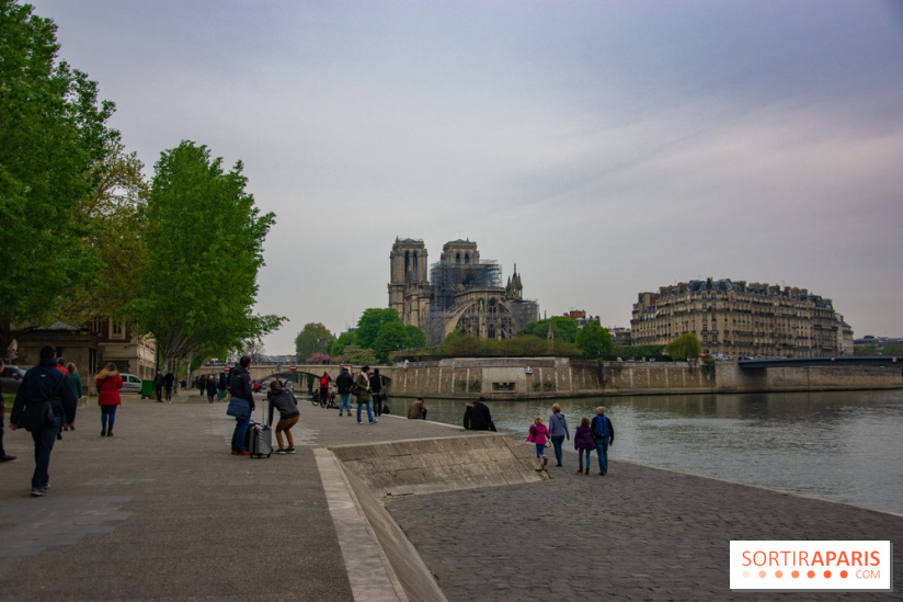 Notre Dame de Paris, les photos des dégâts